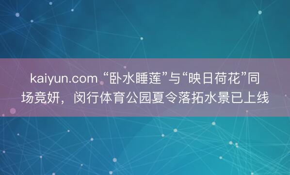 kaiyun.com “卧水睡莲”与“映日荷花”同场竞妍,闵行体育公园夏令落拓水景已上线