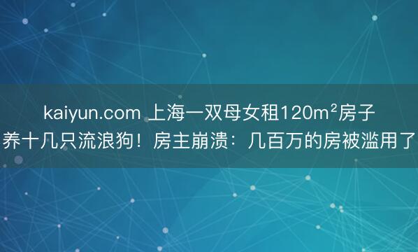 kaiyun.com 上海一双母女租120m²房子养十几只流浪狗!房主崩溃:几百万的房被滥用了