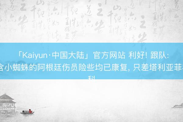 「Kaiyun·中国大陆」官方网站 利好! 跟队: 含小蜘蛛的阿根廷伤员险些均已康复， 只差塔利亚菲科