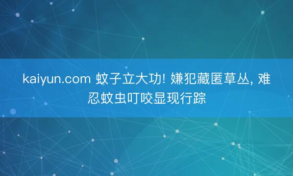 kaiyun.com 蚊子立大功! 嫌犯藏匿草丛， 难忍蚊虫叮咬显现行踪